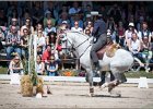 Pferd International 099